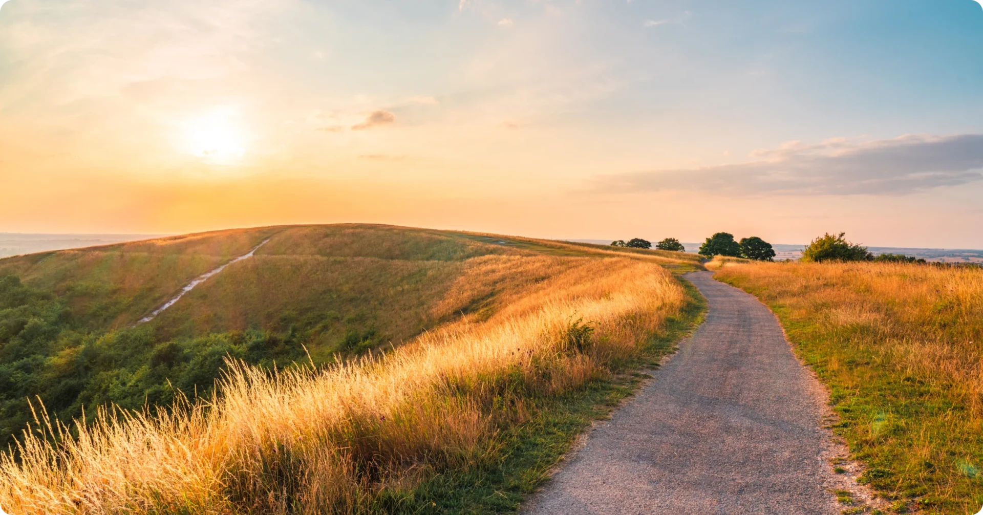 Winding path through golden fields
